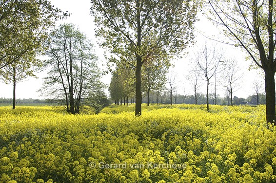 GvK Fotografie