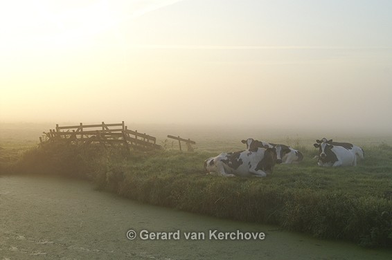 GvK Fotografie