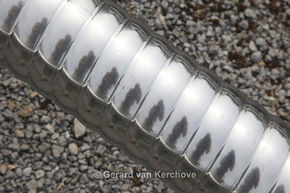 GvK Fotografie