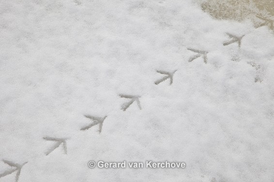 GvK Fotografie