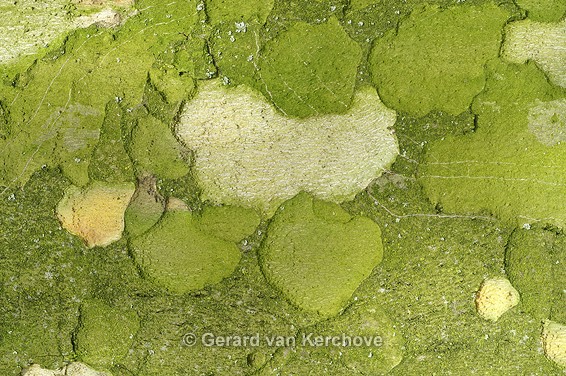 GvK Fotografie