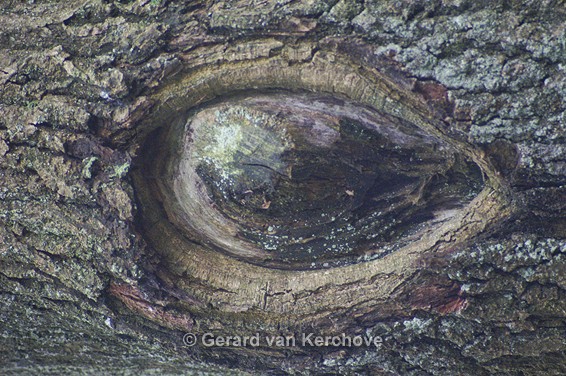 GvK Fotografie
