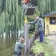 GvK Fotografie